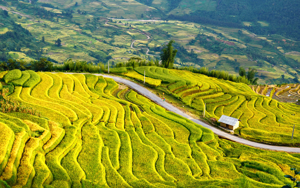 Hãy đến và khám phá Tây Bắc - hành trình của bản thân, nơi bạn sẽ tìm thấy những điều mới mẻ và tuyệt vời từ cuộc sống.
