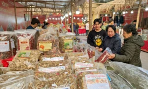 Hội chợ sẽ có sự góp mặt của hàng trăm gian hàng từ các doanh nghiệp