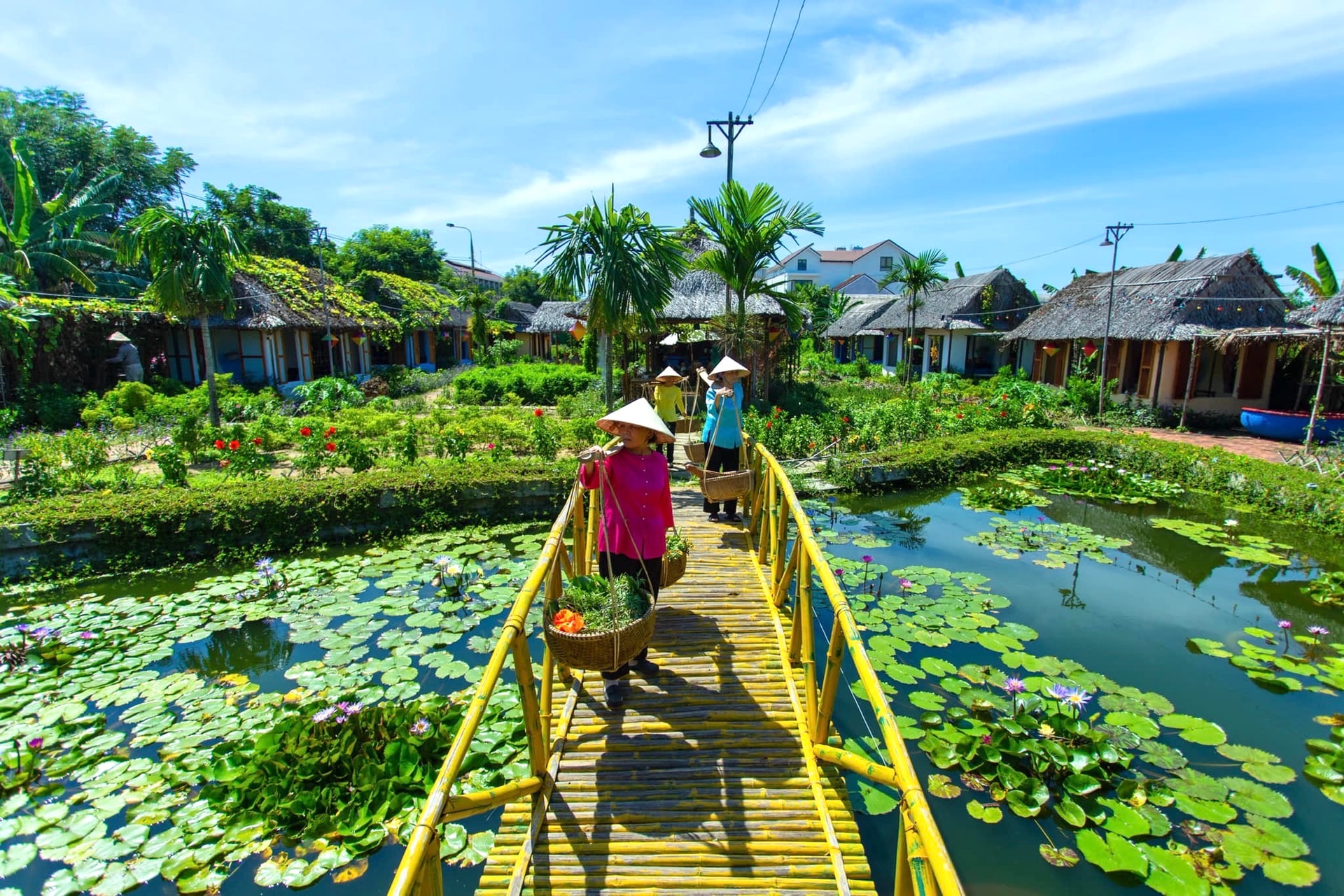 Cam kết và khát vọng phát triển bền vững của Silk Sense