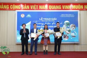 Tổng số giải thưởng đã được trao là 11 giải thuộc 6 hạng mục