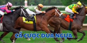 Cá cược đua ngựa CF68 - Hướng dẫn cách chơi chi tiết