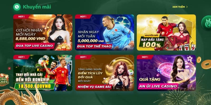 Bongvip Hướng Dẫn Sử Dụng Phiếu Quà Tặng Và Khuyến Mãi